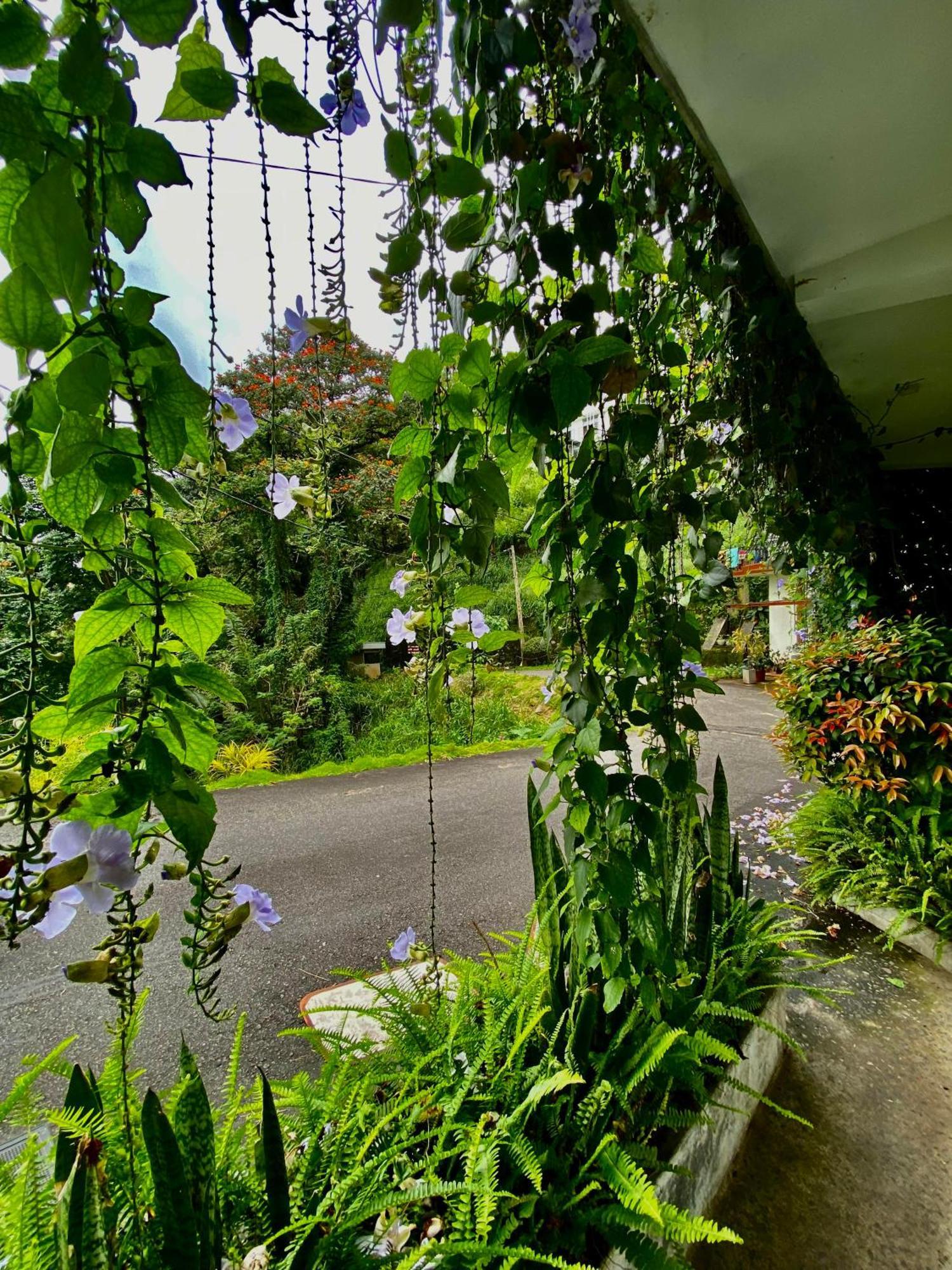 Sesatha Lake Kandy Exterior foto